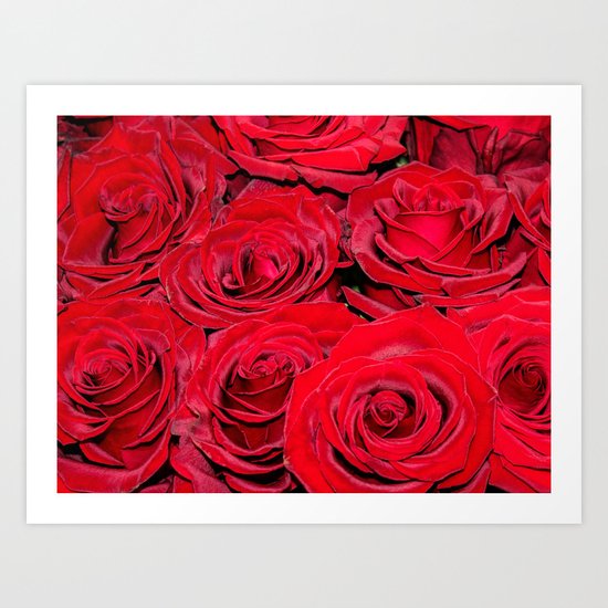 Bed of red roses- Photography pattern of red rose Art Print