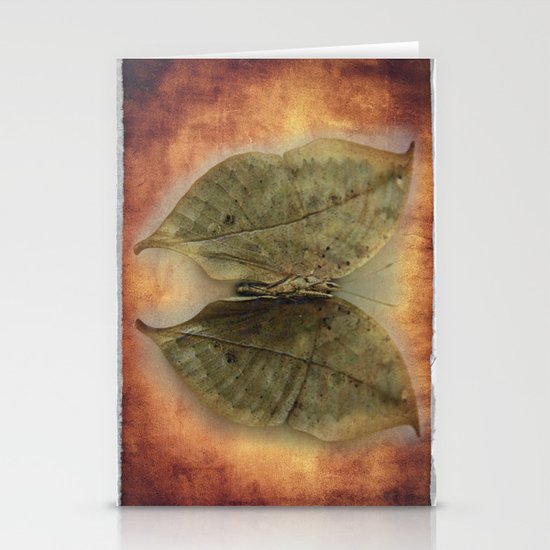 Butterfly Stationery Cards