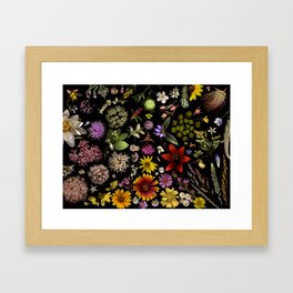 Flowers of Plants Native to Manitoba, Canada Framed Art Print