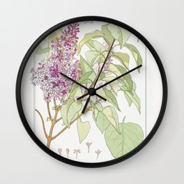 Flower Lilac Illustration from 1896 by Maurice Pillard Verneuil Wall Clock