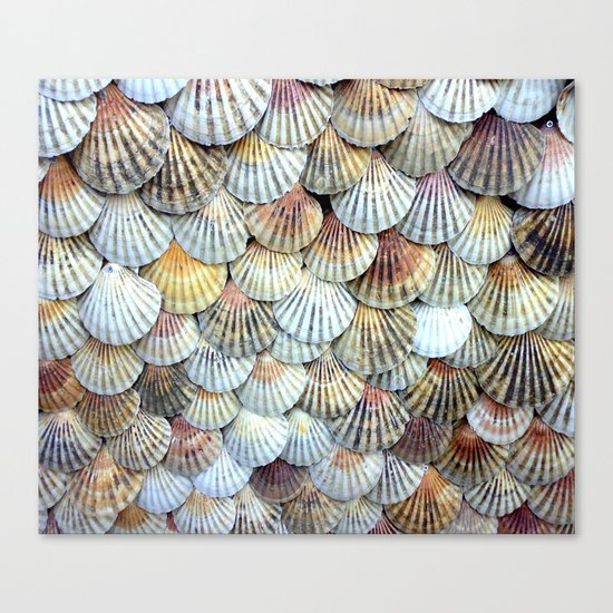 Cockleshell Collection Canvas Print