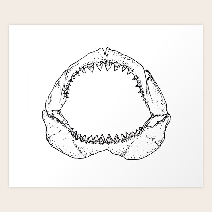 WHITE SHARK JAWS Art Print by Beatriz Abaitua | Society6