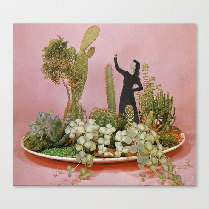 The Wonders of Cactus Island Canvas Print