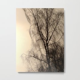 nature Metal Print | Sun, Nature, Tree, Photo, Digital, Vintage 
