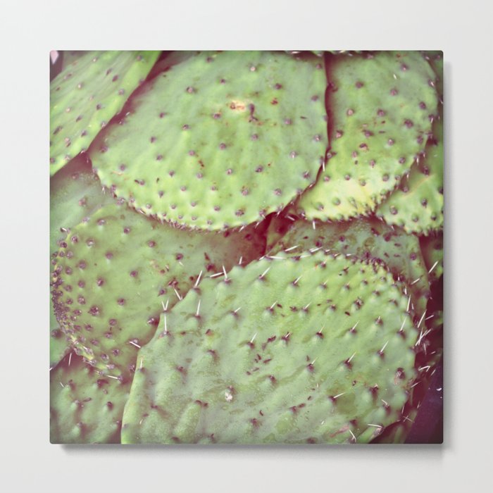 cactus leaves Metal Print