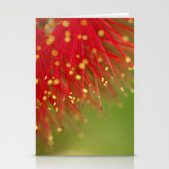 Fireworks of the Callistemon 30-13 Stationery Cards