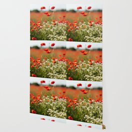 Field of Poppies - 2022 MAY - N°5 Wallpaper