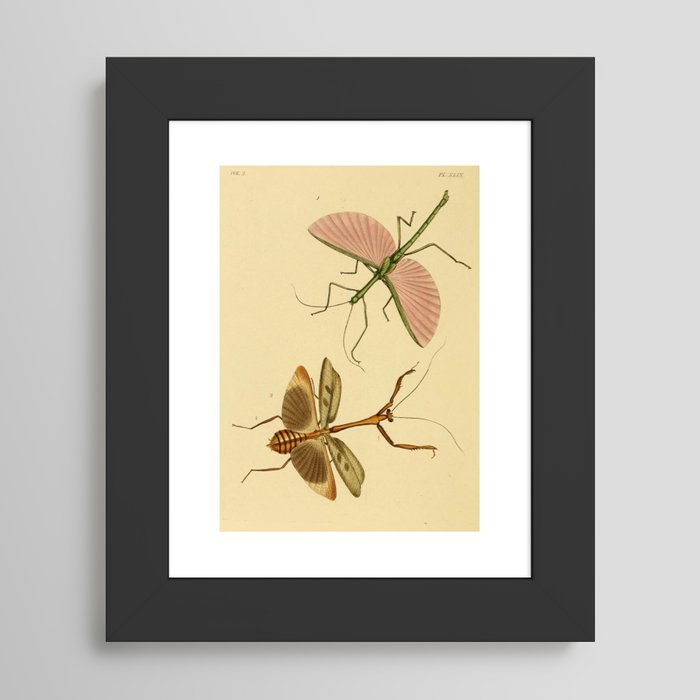 Framed Art Print