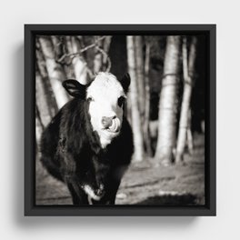 Cowlick Framed Canvas