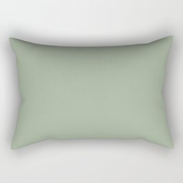 Muted Pastel Green Solid Color Pairs Behr Roof Top Garden S390-4 / Accent Shade / Hue / All One Rectangular Pillow