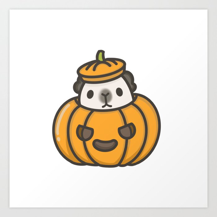 Guinea pig pumpkin sale