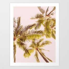 Palm Tree Blush - Tropical Nature Photography Art Print