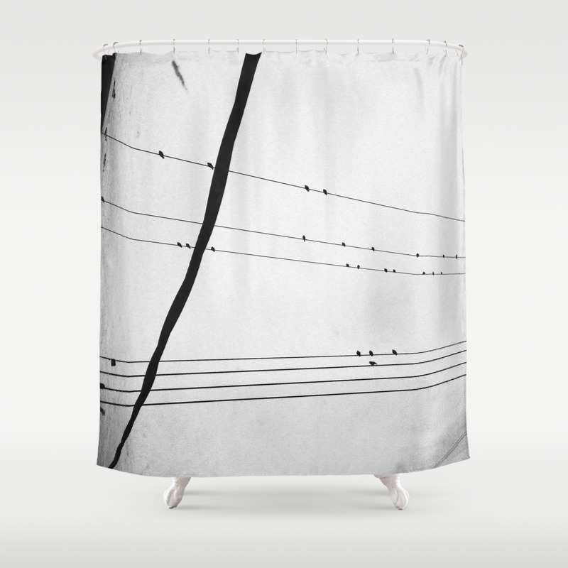 Birds On A Wire Shower Curtain By Michelleandchrisgerard Society6