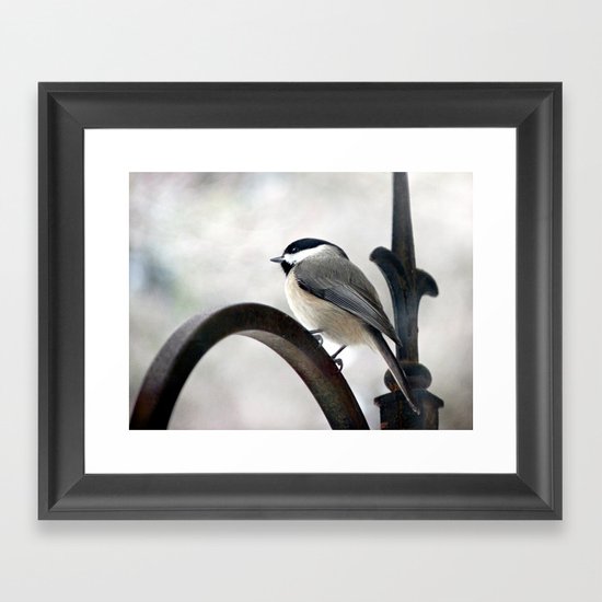 my Little Carolina Chickadee Framed Art Print