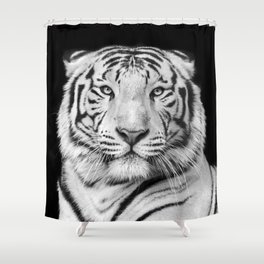 Black and white macro face portrait of white bengal tiger Shower Curtain