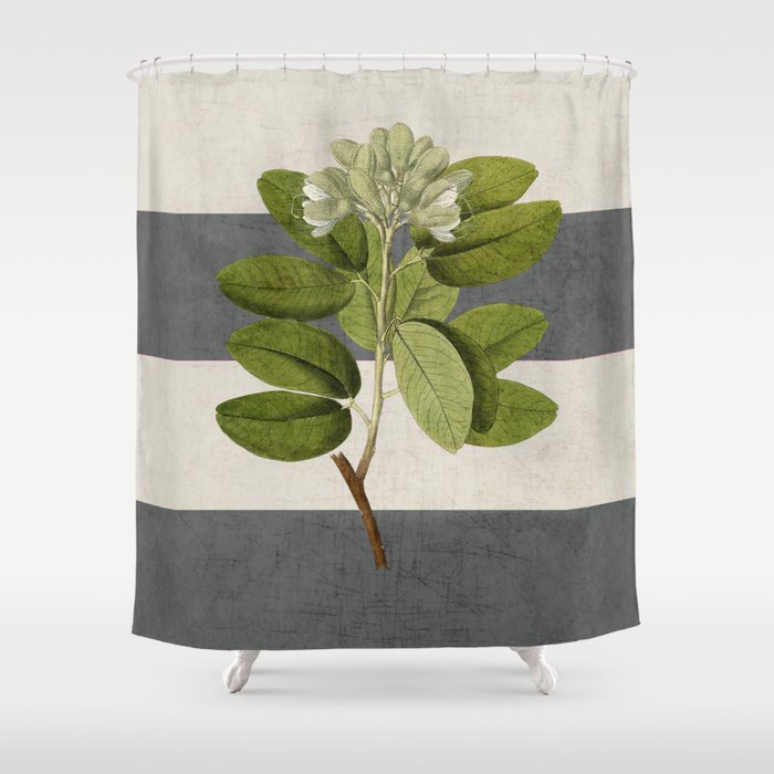 botanical stripes 5 -gray Shower Curtain