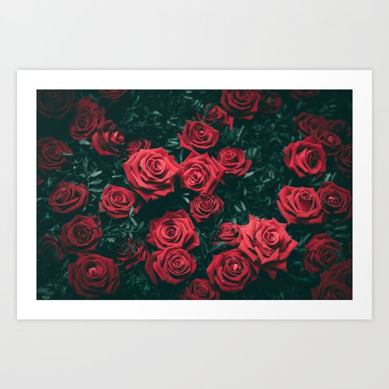 Roses are Red Art Print