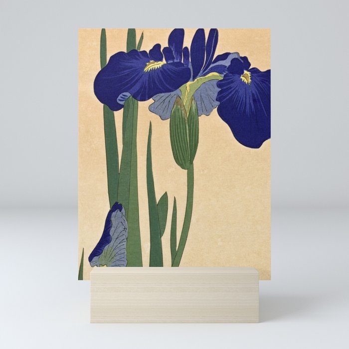 Blue Irises, 1900-1930 by Ohara Koson Mini Art Print