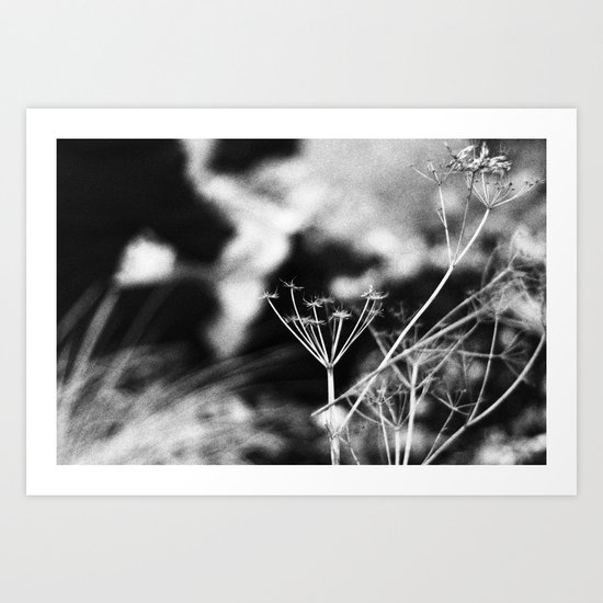 fehmarn. Art Print