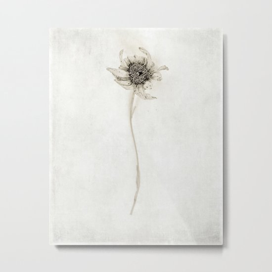 aging gracefully Metal Print