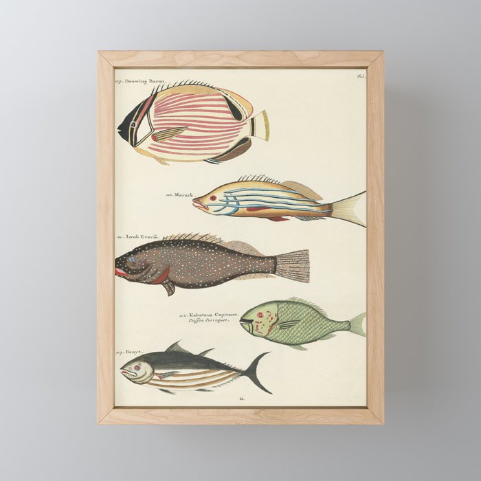 fish by Louis Renard Framed Mini Art Print
