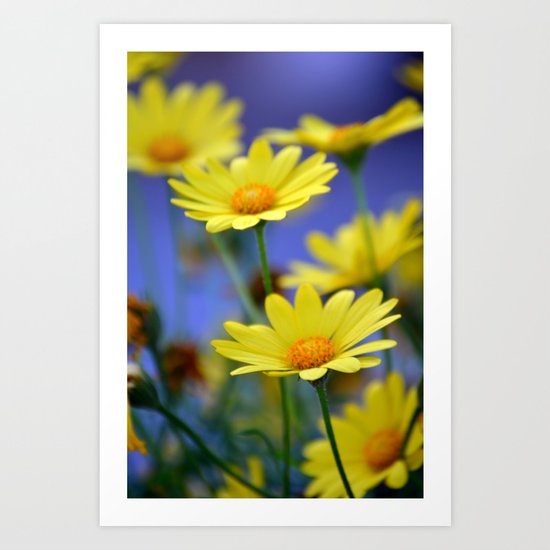 Yellow Daisies Blues Art Print