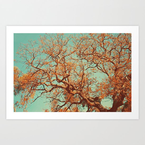 Orange. Art Print
