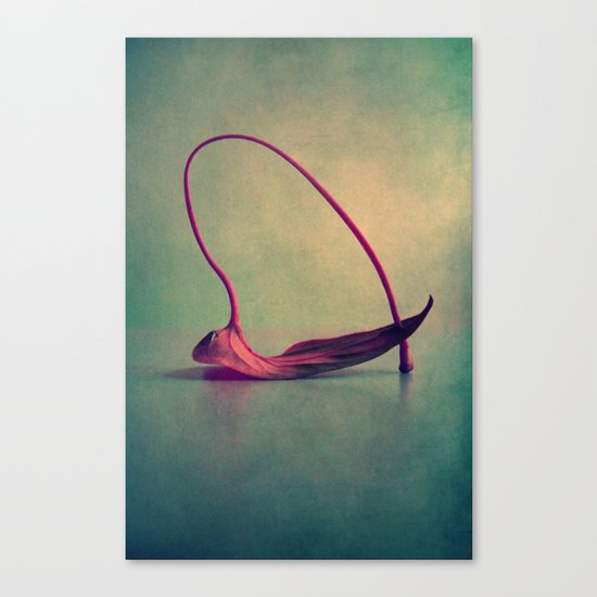 samedi Canvas Print