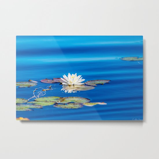 Cool Blues Metal Print