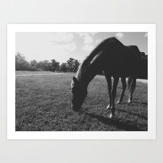 Horse Art Print