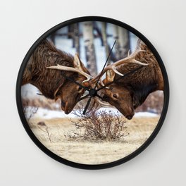 Elk In Rut Colorado Wildlife Rocky National Park Wall Clock