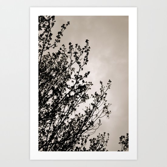 Branches Art Print