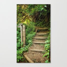 Staircase into the Jungle Canvas Print