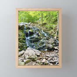 Waterfall in the Valley Framed Mini Art Print