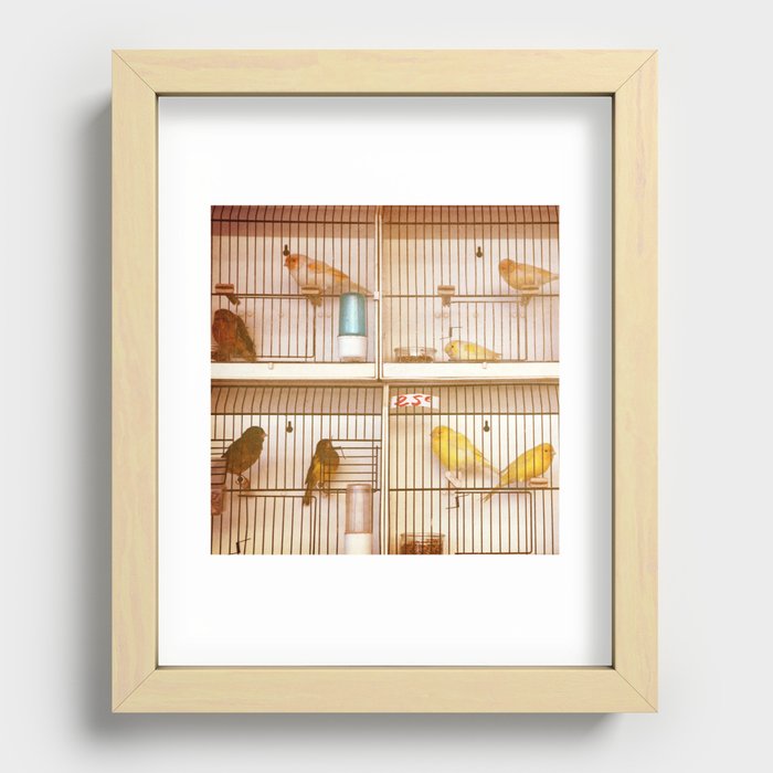 Marche Aux Oiseaux 2 Recessed Framed Print