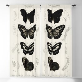 Collection of Butterflies Blackout Curtain
