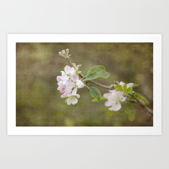 Spring Delight Art Print