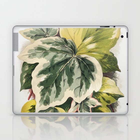 Ivy Leaves Laptop & iPad Skin