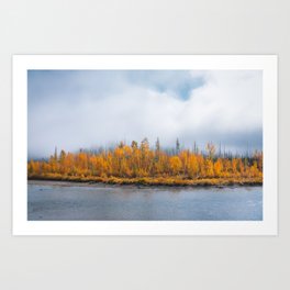 Fall Along the Flathead River Art Print