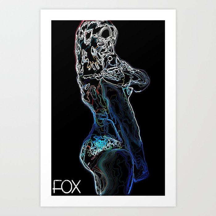 Fox (midnight) Art Print