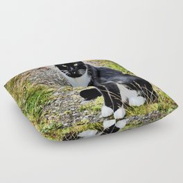 Friendly Cat of the Scottish Highlands in I Art Floor Pillow