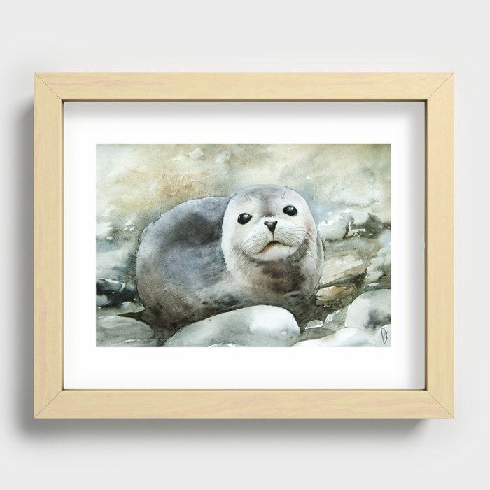 Curious seal on the pebbles Recessed Framed Print