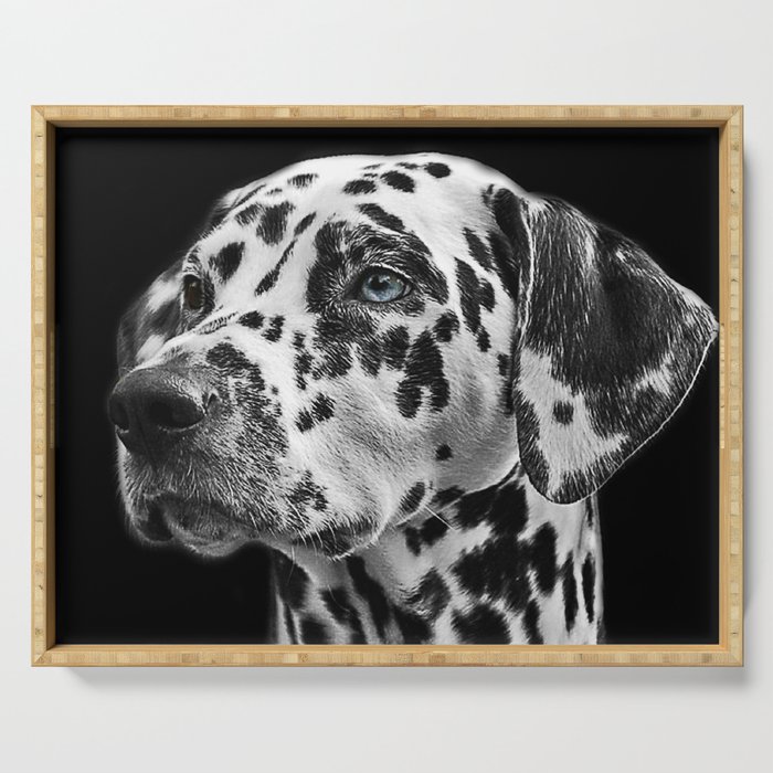 Dalmatian with One Blue Eye Portrait Photograph Serving Tray