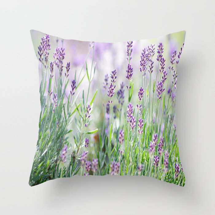 #Lavender in #Summer #garden #dreams Throw Pillow