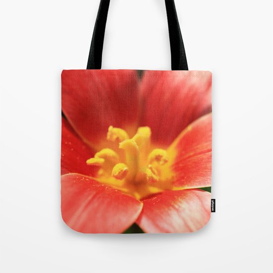 Tulipa linifolia Tote Bag
