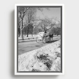 Central Park Black and White Vintage Framed Canvas