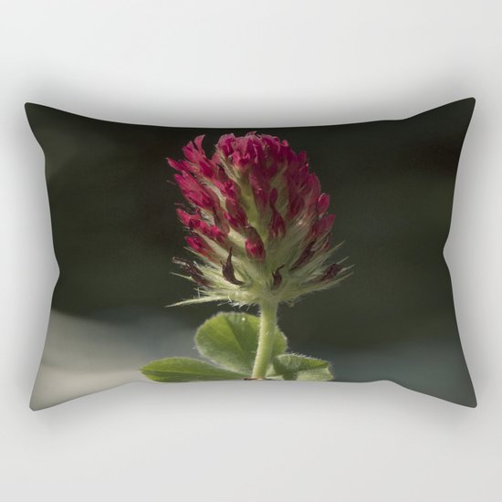 Red Clover Rectangular Pillow