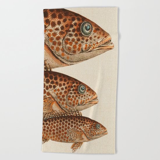 Fish Classic Designs 6 Beach Towel