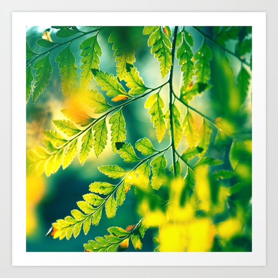 Memories in the Leaves Art Print