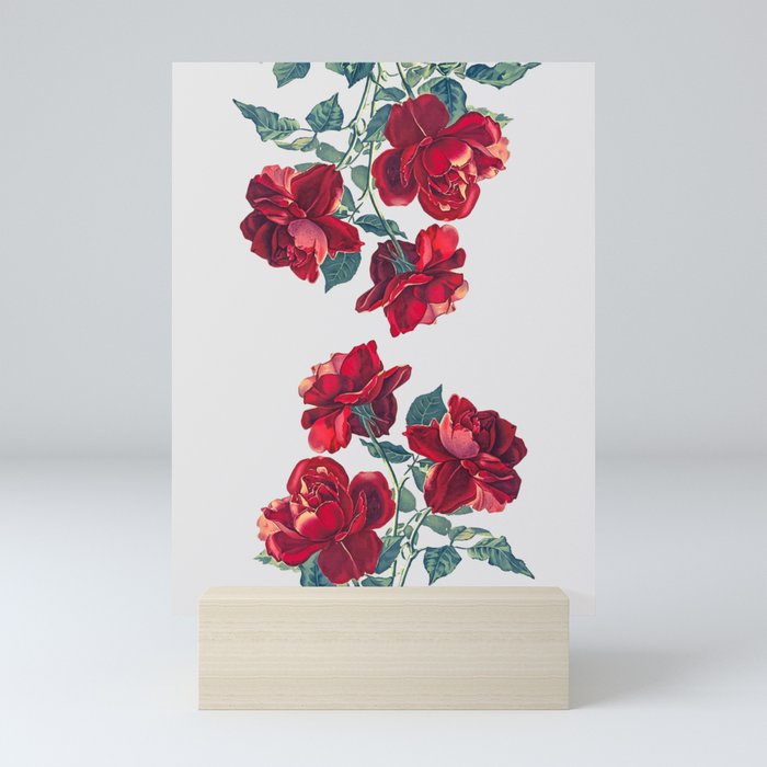 Red Roses Mini Art Print